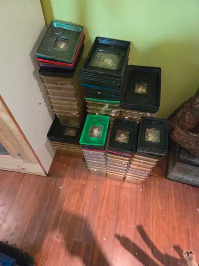 Big bunch of Kritter Keepers, View more