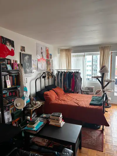 Bright Studio Apartment in McGill Ghetto