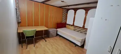 Yonge & Steeles Basement Room