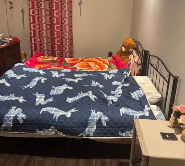 Bed frame and mattress for sale in Beds & Mattresses in Kingston - Image 3