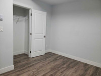 (rented) xecutive bright basement legal Furnished 2 bed 1 bath