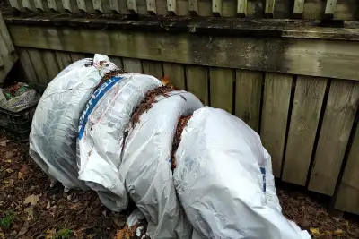 Used winter tires. Were formerly on a Subaru Forester. Decent wear but still good. Specs 225/60 R17...