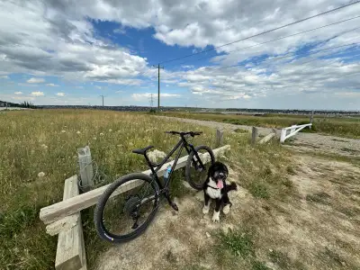 Custom Built RSD Frame 29er MTB, View more