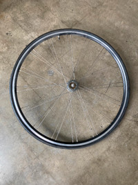 Rear single speed bicycle wheel, 700c with 23mm tire