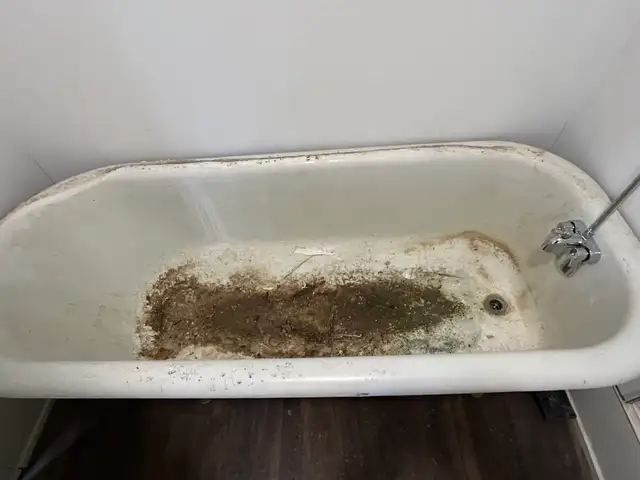 Cleaning Services586915534865715203