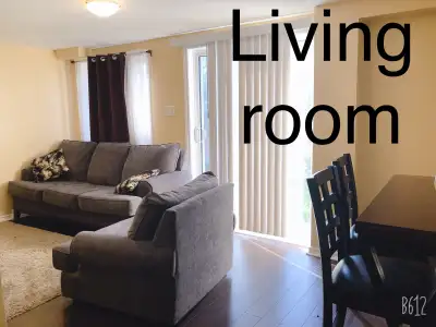 walkout Basement Apt 2 bedroom and living room