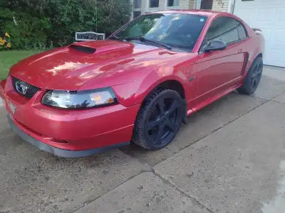 In good shape 4.6 ltr auto 246000kms Aftermarket rims New tires Aftermarket exhaust Aftermarket ster...