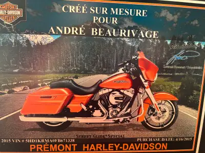 Harley Davidson 2015 , un petit bijou , plus de 15 000 de modification par Jean-Jacques Leduc , seul...