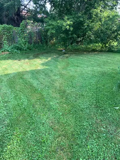 Lawncare Trimmer, View more