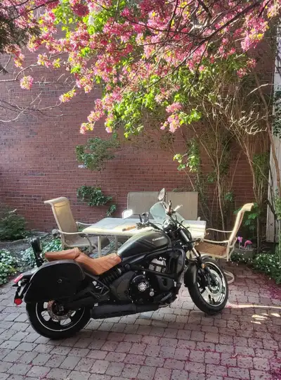 Selling my 2019 Kawasaki Vulcan S 650. It currently has about 49,500 km and has been well maintained...