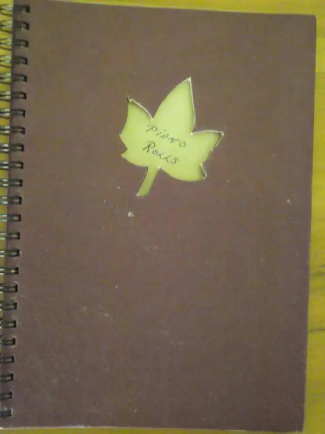 Player Piano with rolls/bench and cabinet in Pianos & Keyboards in City of Halifax - Image 10