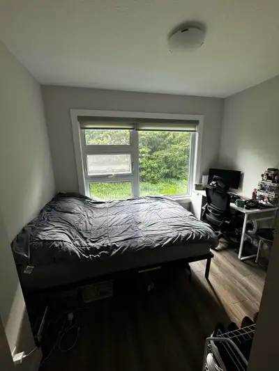 Looking for one roommate