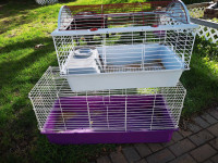 Guinea Pig cages and supplies 