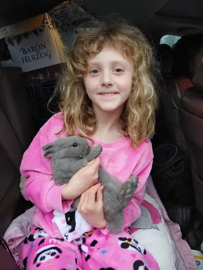 Located in Montreal, Delivery to Cornwall/Brockville/Smith Falls/ Lombardy/ Perth area available Sat...