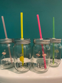Rae Dunn Set of 4 Mason Jar Glasses with Straws Fun/ Drink/ Chil