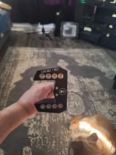 lab Putter, View more