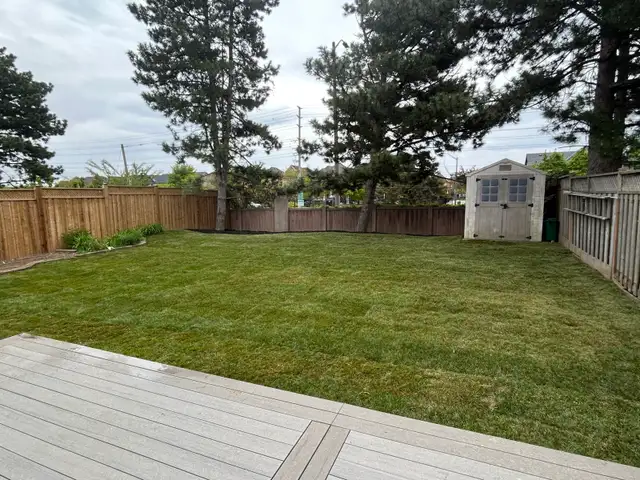 Landscape/Snow removal in Lawn, Tree Maintenance & Eavestrough in Mississauga / Peel Region - Image 6