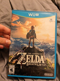 Zelda Breath of wild