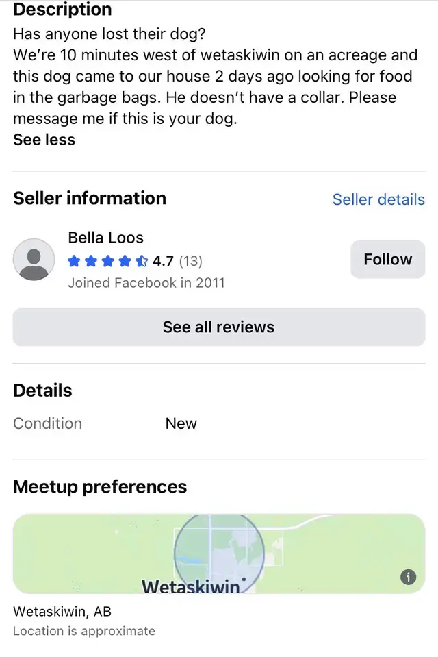 Lost Doggy  Needs to get Home!!!!! Asap!!!! in Lost & Found in Edmonton - Image 5