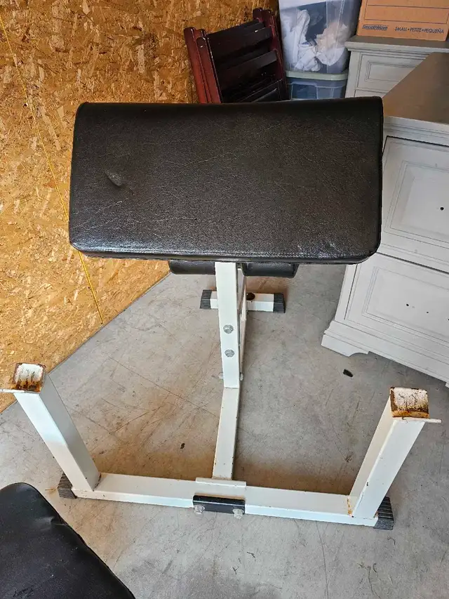 preacher curl bench62863277295618124