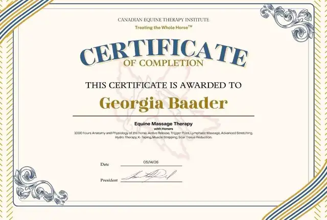 Equine Massage Therapy in Animal & Pet Services in St. Albert - Image 2
