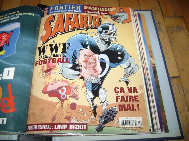 SAFARIR Magazine Binding (8 Issues)598691398466949125