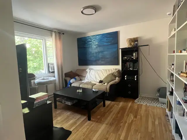 chambre à louer - Longueuil in Room Rentals & Roommates in Longueuil / South Shore - Image 6