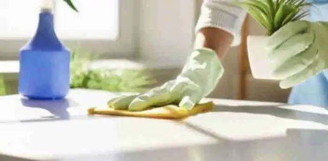 BIWEEKLY CLEANING 