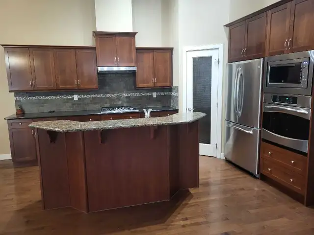 Professional Painter511269286068234242