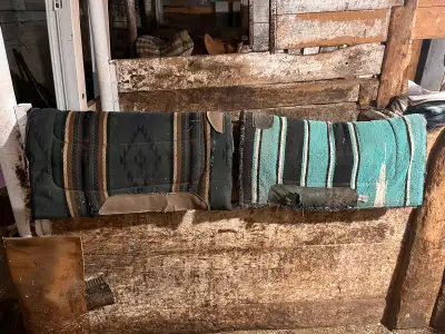 Teal, has use- $50 Green- $25 Sold together or separately Can deliver depending on location Price is...