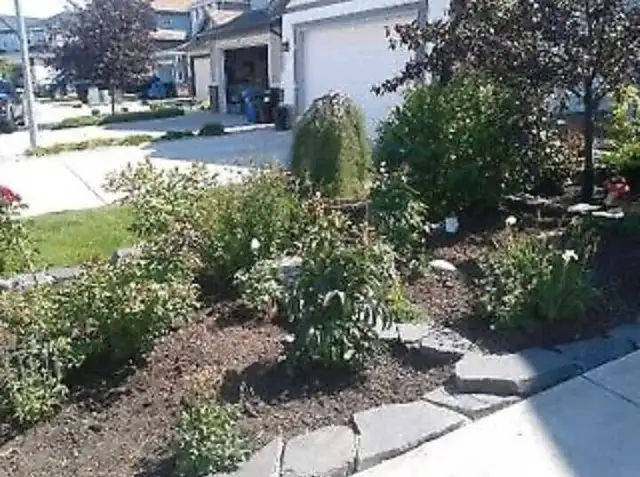 Affordable Professional Pruning/Gardening (reasonable pricing)63013091135105122