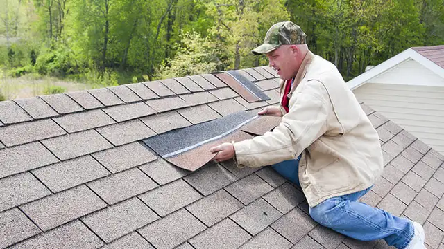 ROOFER ROOF REPAIR ROOF 450-239-6047 ROOFING LEAK62865711125634123