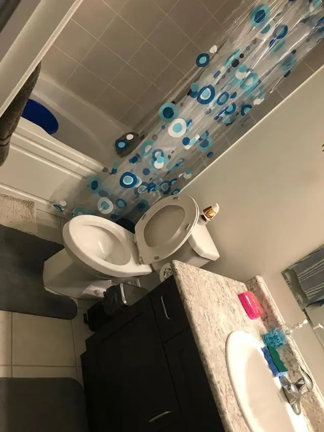 Room available for 2 Girls in Doon South in Room Rentals & Roommates in Kitchener / Waterloo - Image 6