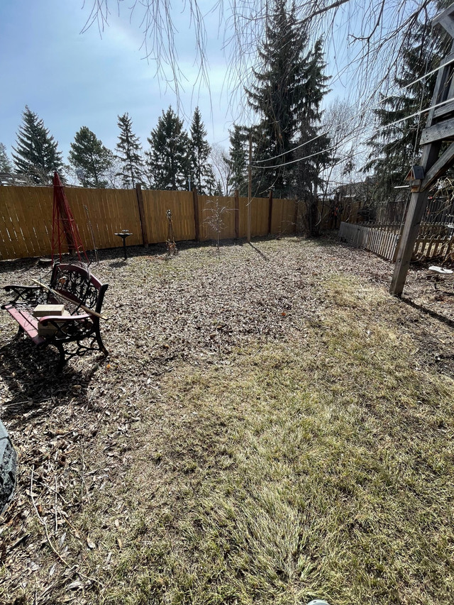 Spring clean ups/fertilizer 7806194907 in Lawn, Tree Maintenance & Eavestrough in Strathcona County - Image 4