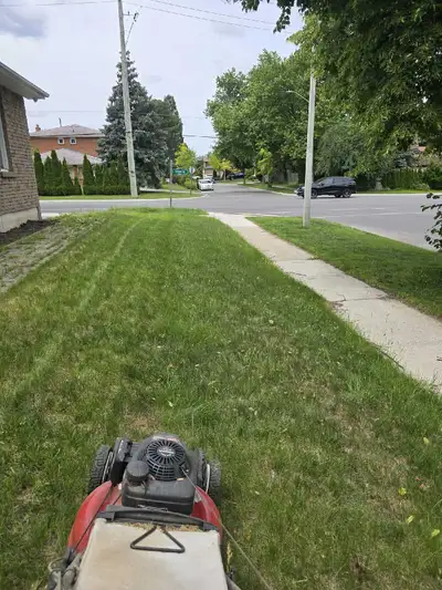 Professional Lawn Mowing & Yard Care in Toronto, View more