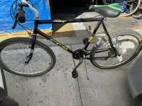 mountain bike in good condition bike been serviced 