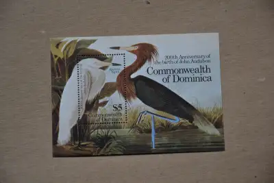 Stamps: Dominica 1985 Audubon Souvenir Sheet. Scott 869.