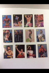 WWF WWE Wrestling Trading Cards 1990