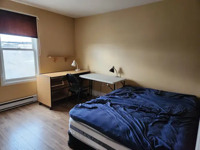 apartment for rent in Long Term Rentals in Cape Breton - Image 7