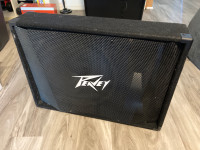 Peavey PV 15M 2-Way Floor Monitor Speaker