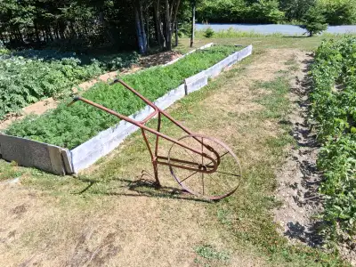 Antique garden weeder, View more