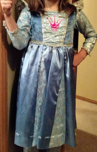 Cinderella Costume 