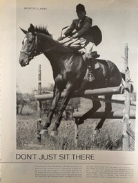 1962 Don’t Just Sit There w/Horse Tangled Original Article