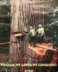 Danger Tree Assessors & Danger Tree Fallers