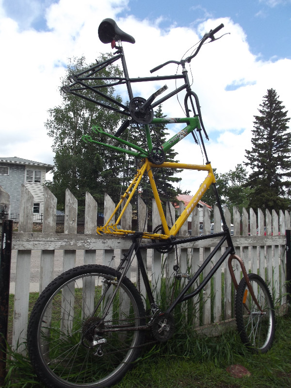 I fix kids bikes and cruisers (edson) dans Enfants  à Saint-Albert - Image 4