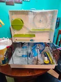 Cage hamster