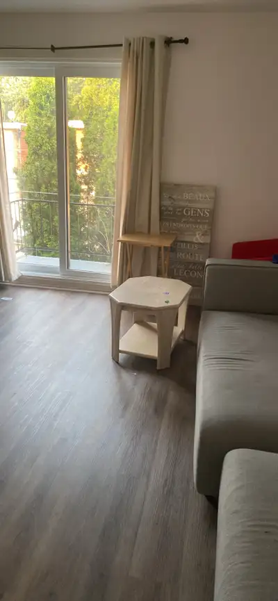 Apartment 5 1/2