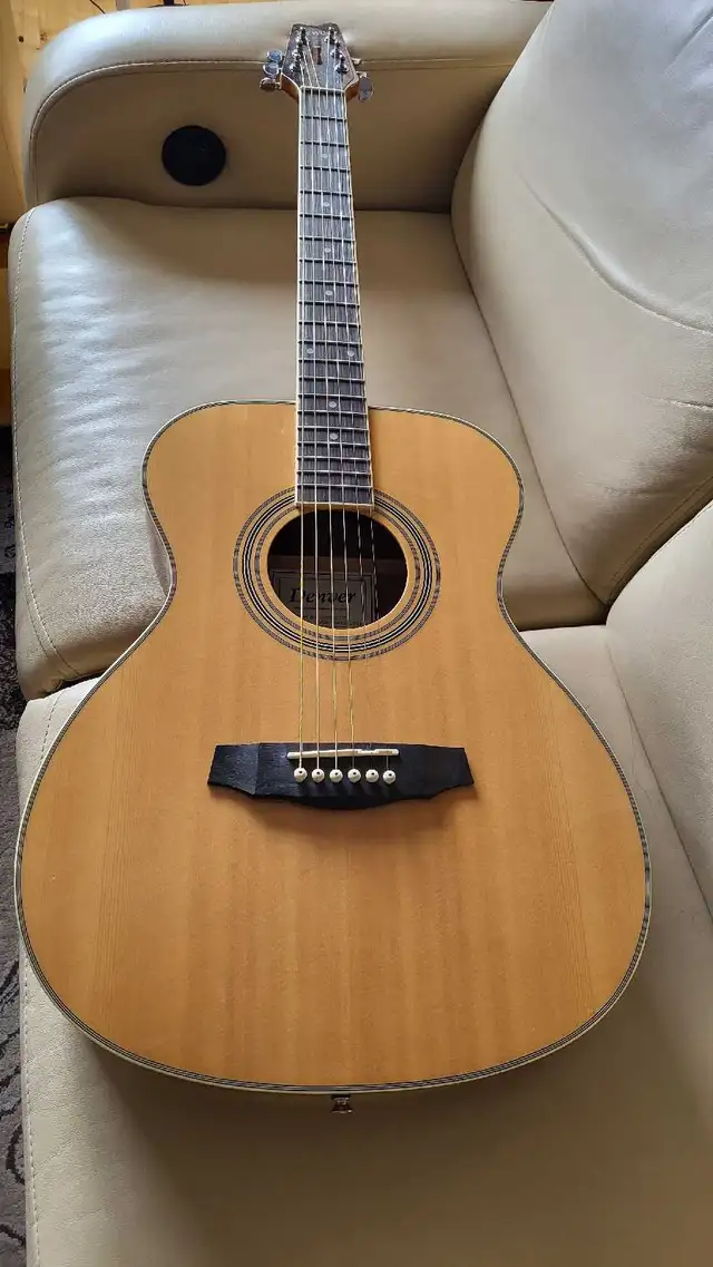 DENVER Guitar