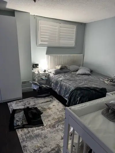 1 bedroom renovated Basement Suite