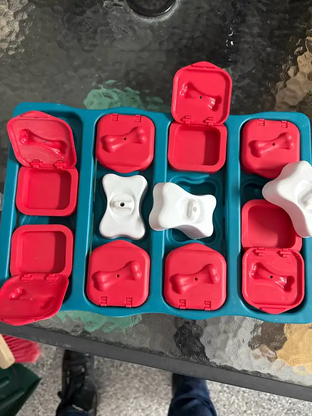 Outward Hound Dog Puzzle in Accessories in Lanaudière - Image 3